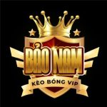 Group logo of VIP BẢO NAM - BÓNG BANH BƠI HẾT VÀO